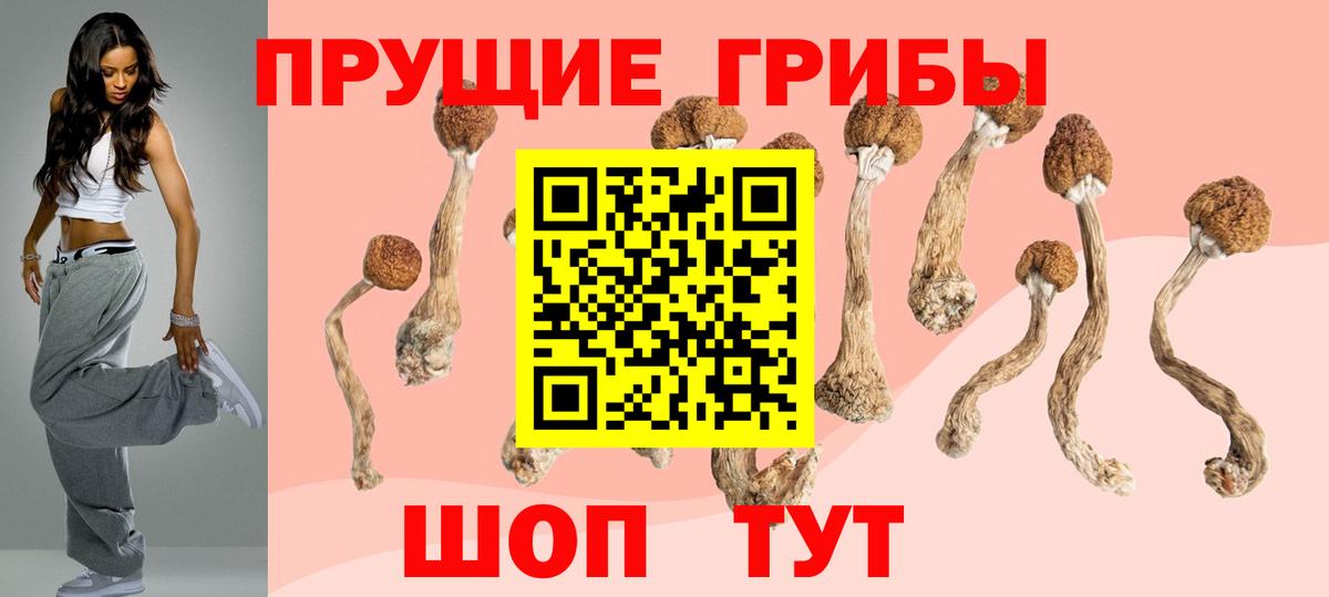 Луга  магазин  наркотиков  Псилоцибиновые грибы Cubensis  Вход с VPN  Галлюциногенные грибы Magic Shrooms 