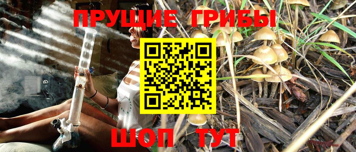 Галлюциногенные грибы Magic Shrooms Луга