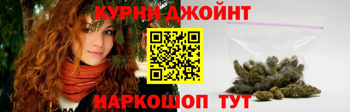 Луга  Бошки Шишки планчик  Вход с VPN  Канабис Ganja  Бошки марихуана индика 