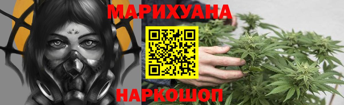 Шишки марихуана OG Kush Луга